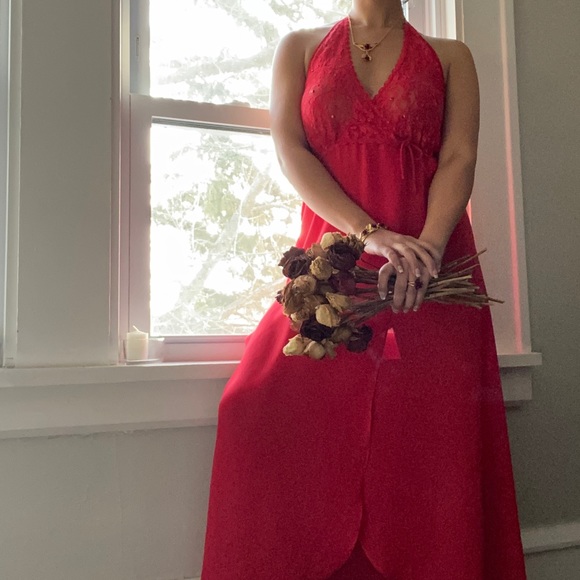 🌹 Cinema Etoile, Vintage Valentine’s Nightgown - Picture 3 of 16